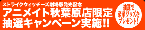 ストライクウィッチーズ劇場版発売記念 アニメイト秋葉原店限定抽選キャンペーン実施！！